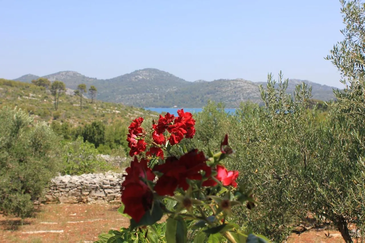 Holiday home Secluded Fisherman'S Cottage Cove Jaz - Telascica, Dugi Otok - 876 Sali Croatia