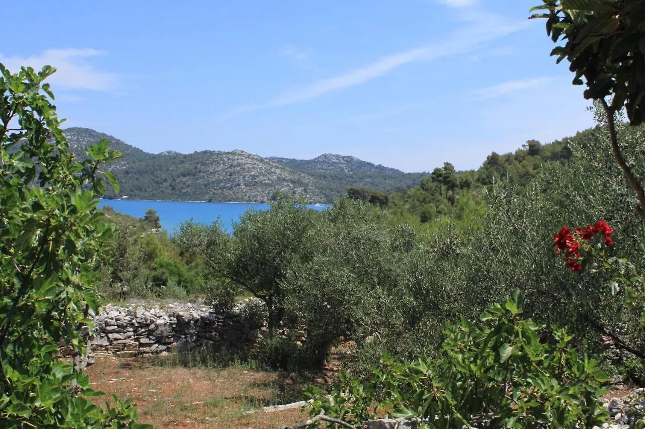 Secluded Fisherman'S Cottage Cove Jaz - Telascica, Dugi Otok - 876 Sali Holiday home